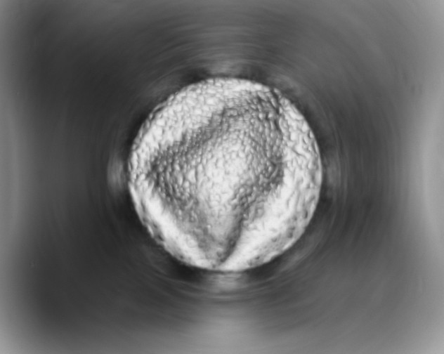 X0000089760089200707201951