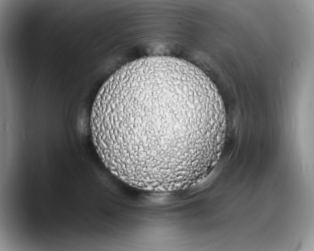X0000089760090200707201951
