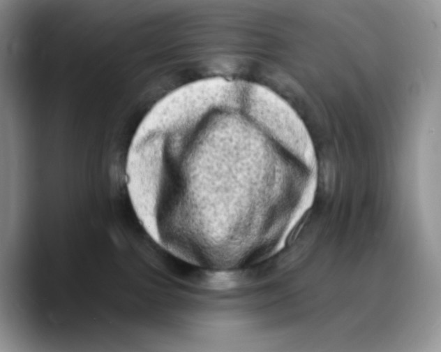 X0000089760091200707201951