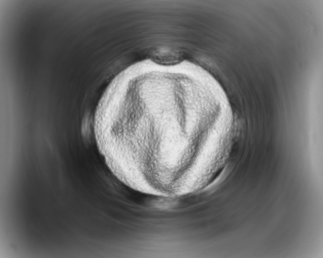 X0000089760094200707201951