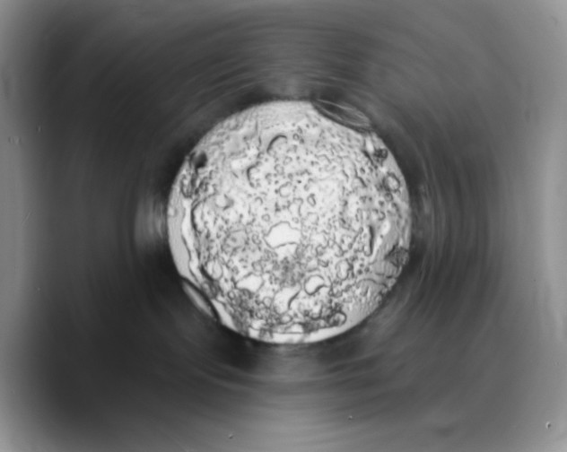 X0000089760095200707201951
