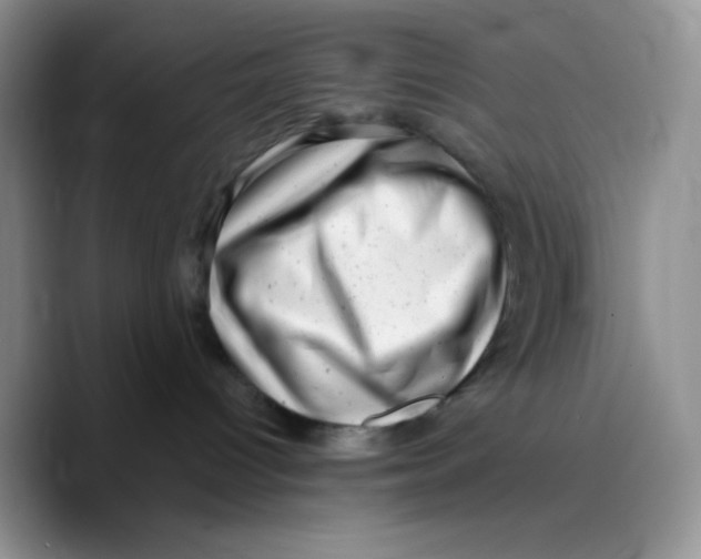 X0000089760096200707201951
