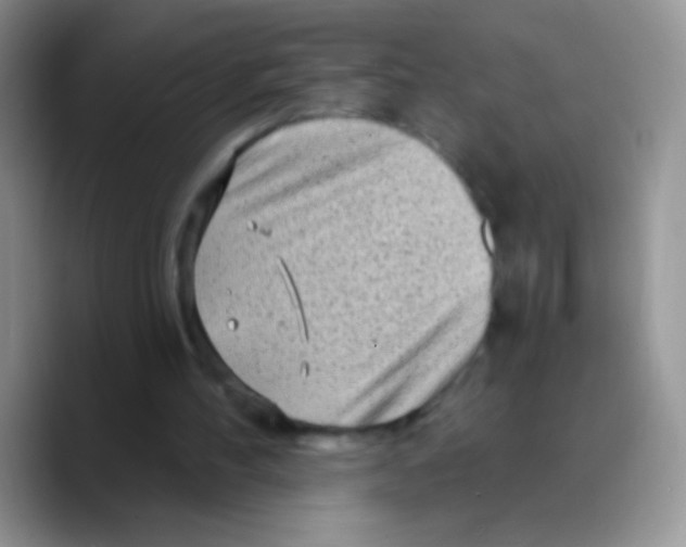 X0000089760100200707201950