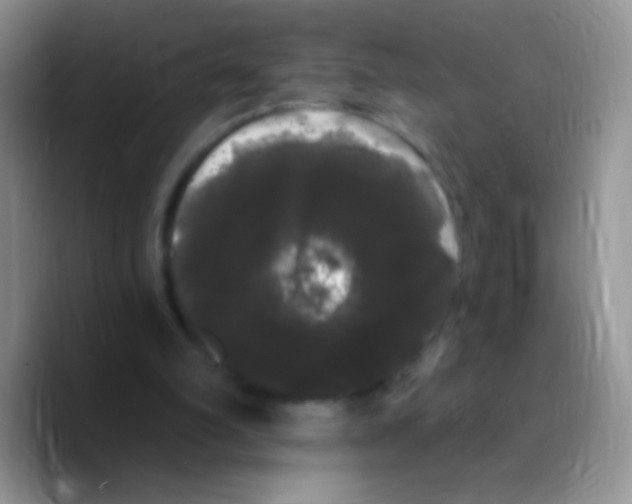 X0000089760102200707201950