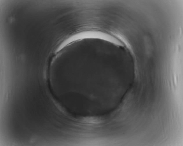 X0000089760105200707201950