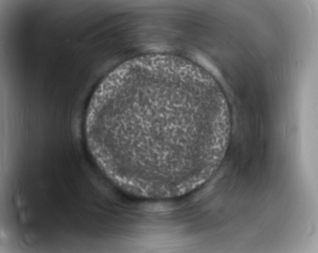 X0000089760106200707201950