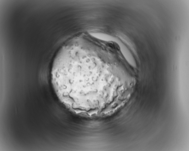 X0000089760107200707201950