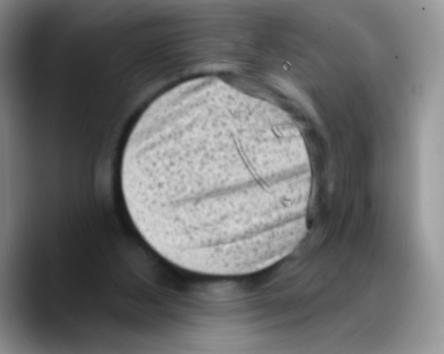 X0000089760108200707201950