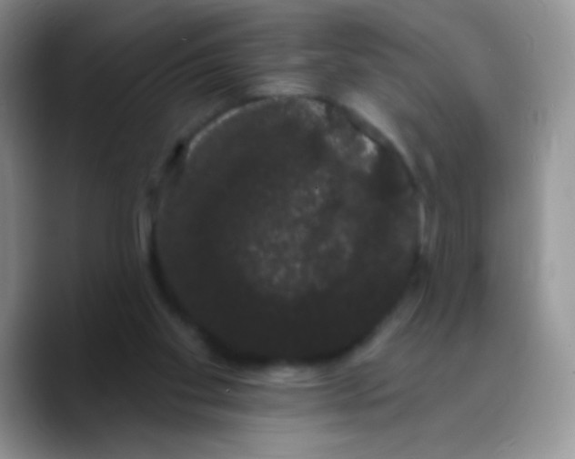 X0000089760109200707201950