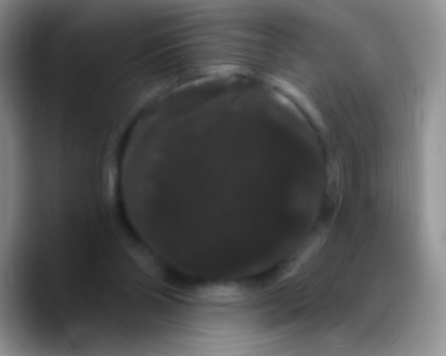 X0000089760110200707201950