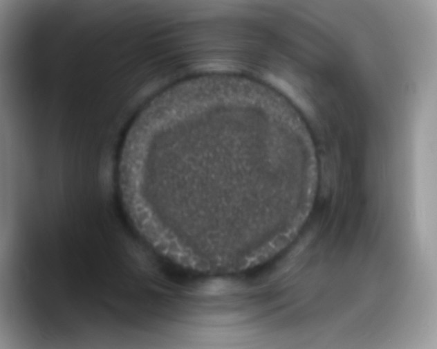 X0000089760111200707201950