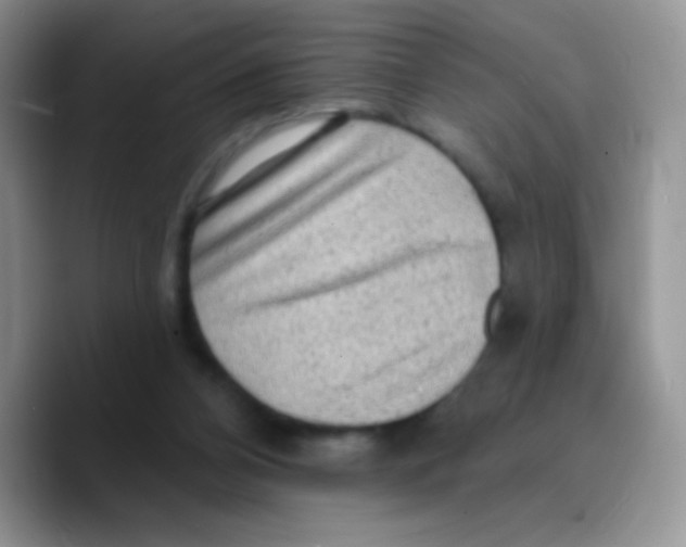 X0000089760112200707201950