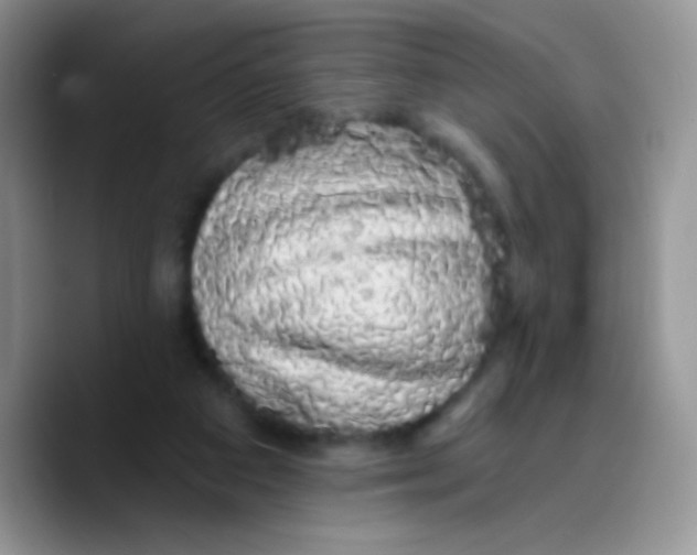 X0000089760113200707201950