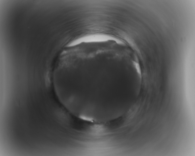 X0000089760114200707201950
