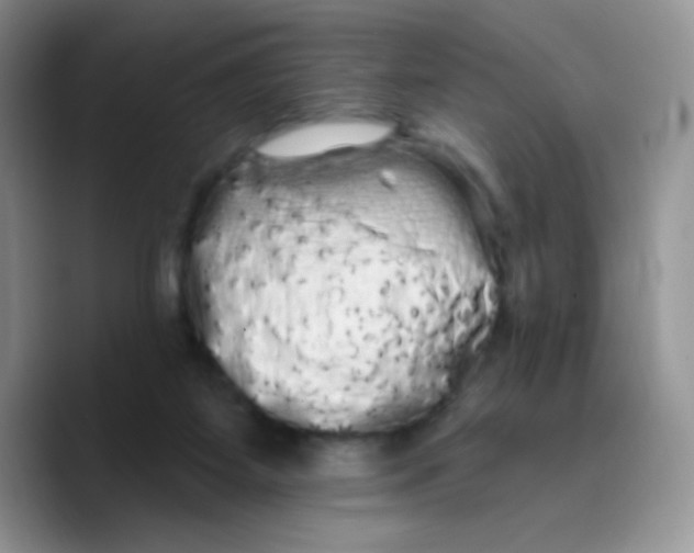 X0000089760115200707201950