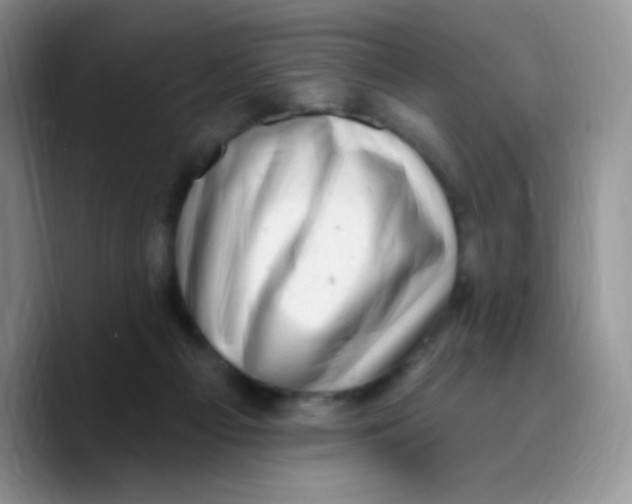 X0000089760121200707201950