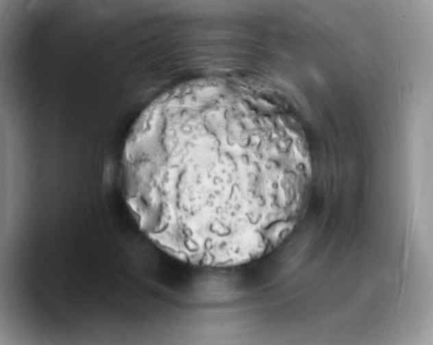 X0000089760123200707201950