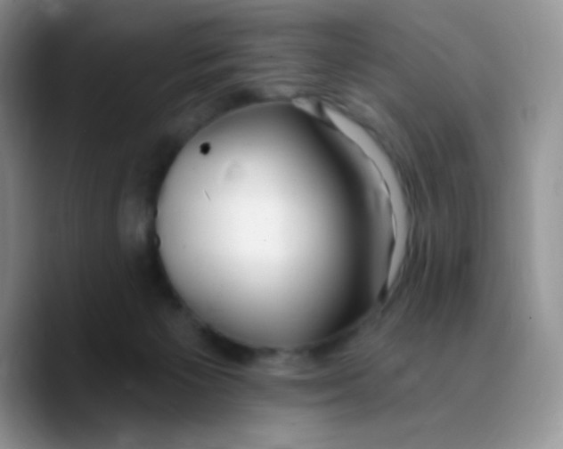 X0000089760125200707201950