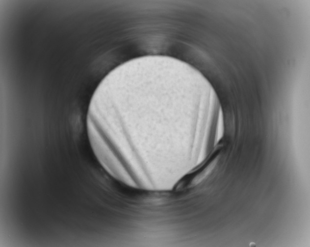 X0000089760128200707201950