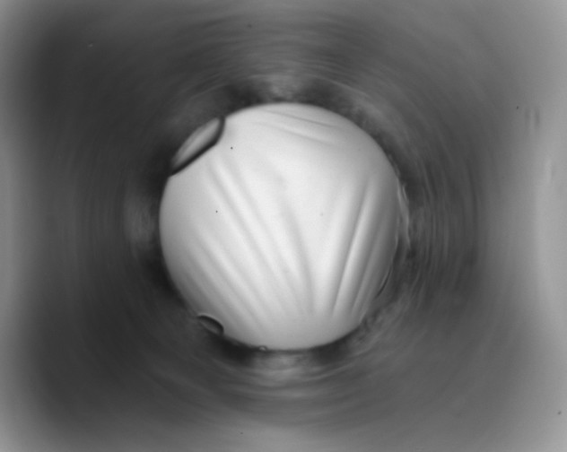 X0000089760129200707201950