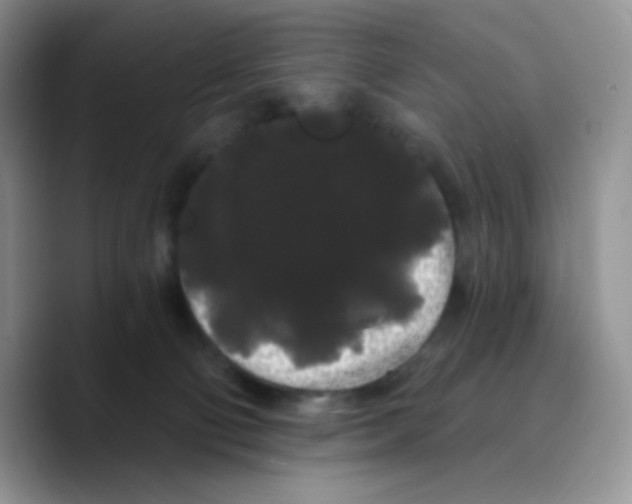 X0000089760130200707201950