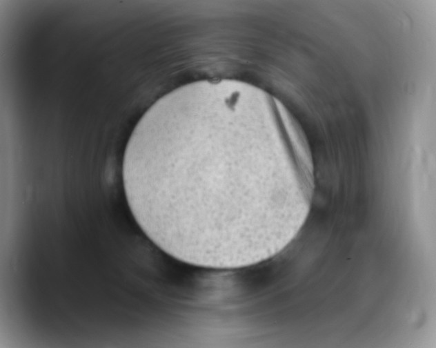 X0000089760132200707201950