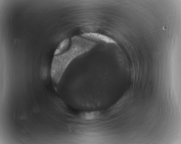X0000089760134200707201950