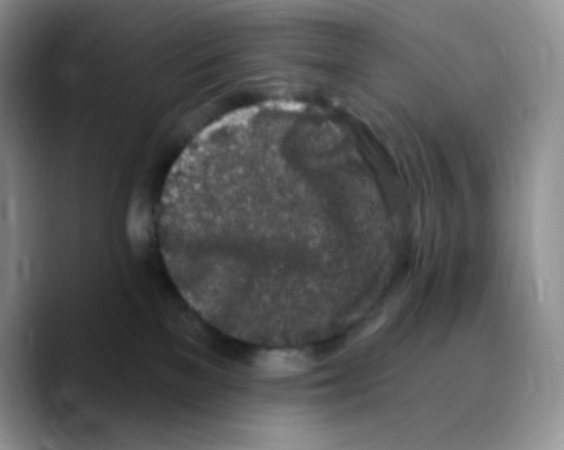 X0000089760137200707201950