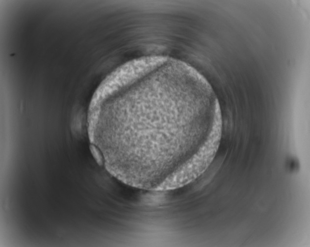 X0000089760138200707201950