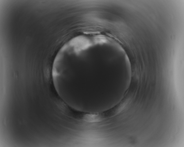 X0000089760139200707201950