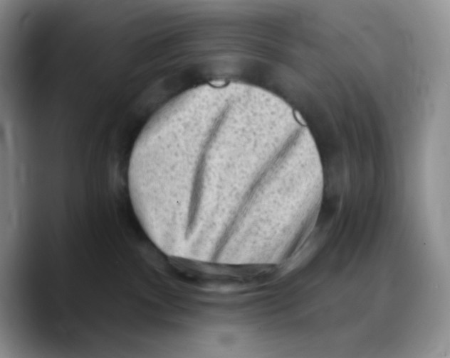 X0000089760140200707201950