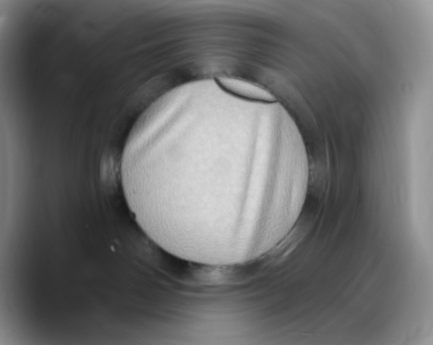 X0000089760142200707201950