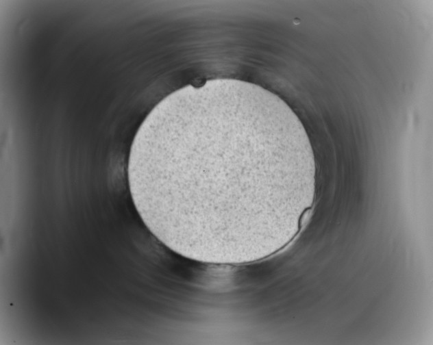 X0000089760144200707201950