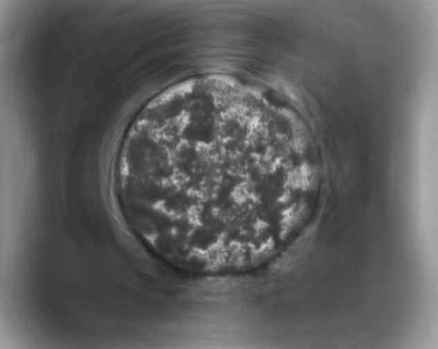 X0000089760145200707201949