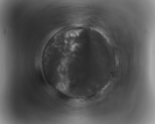 X0000089760147200707201949