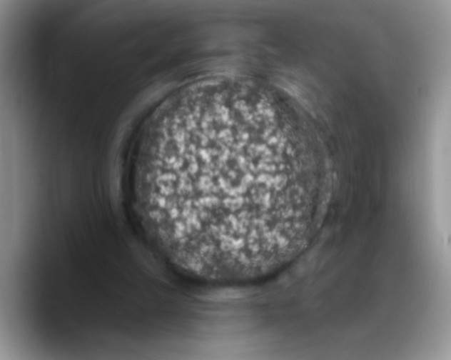 X0000089760149200707201949
