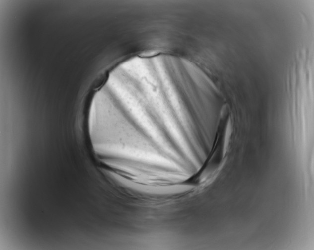 X0000089760150200707201949