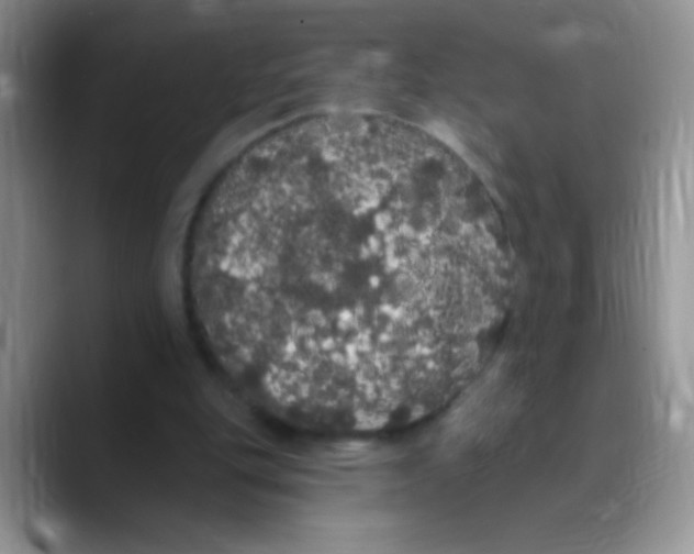 X0000089760151200707201949