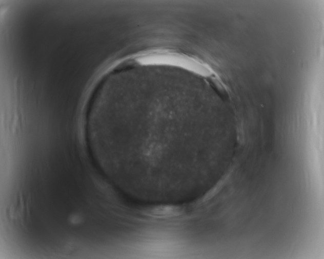 X0000089760152200707201949