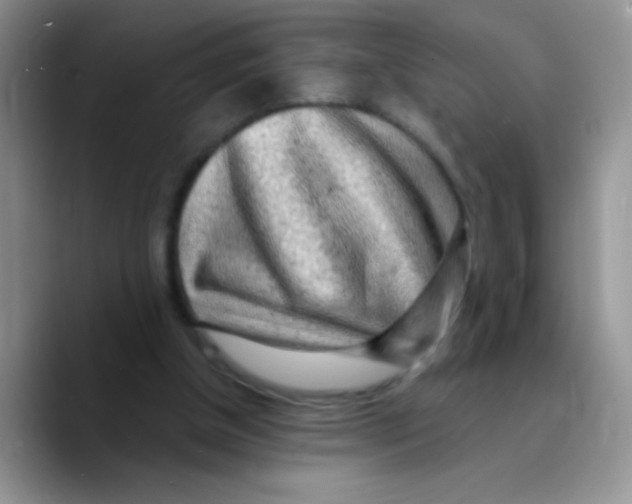 X0000089760154200707201949