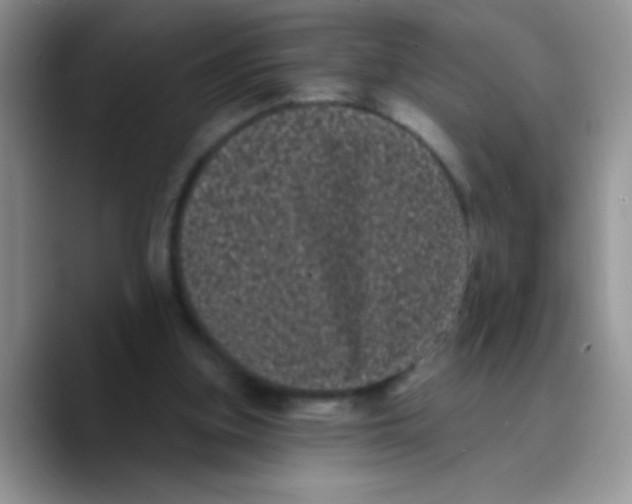 X0000089760155200707201949