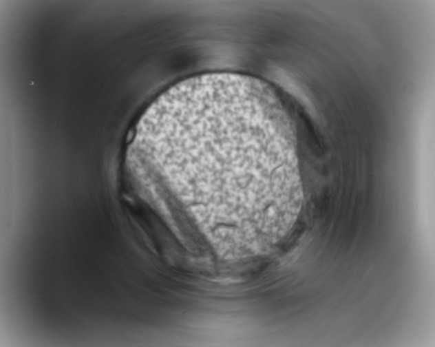X0000089760156200707201949