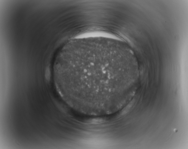 X0000089760158200707201949
