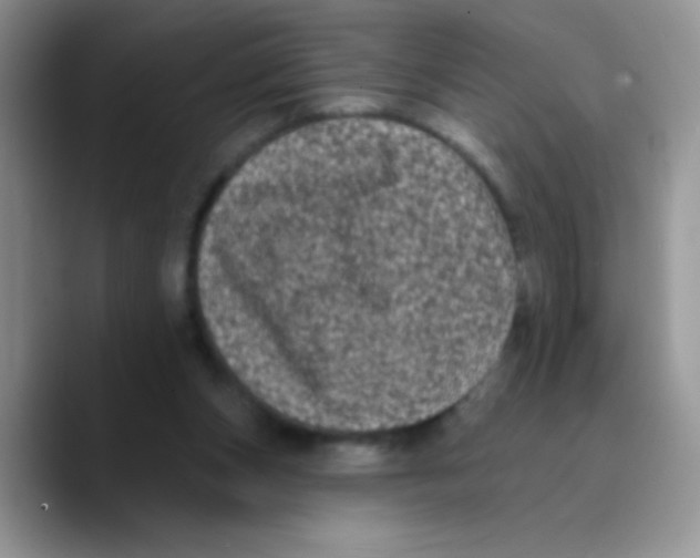 X0000089760159200707201949