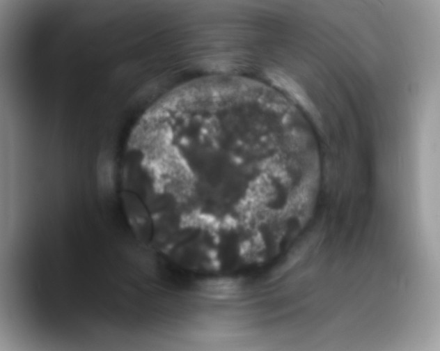 X0000089760161200707201949