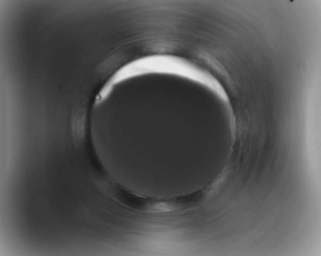X0000089760163200707201949