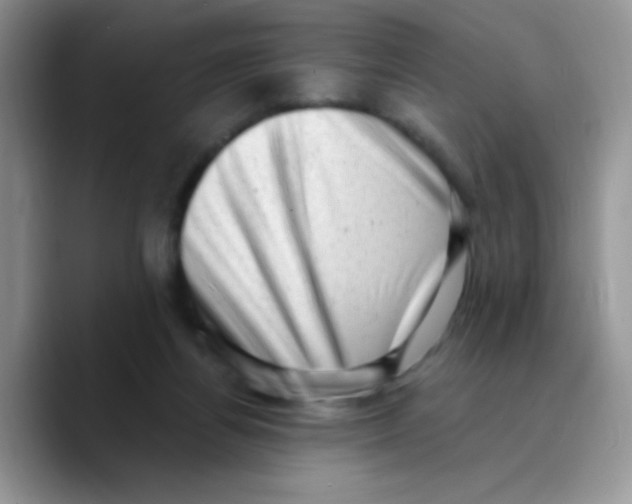 X0000089760164200707201949
