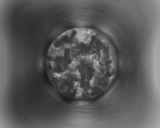 X0000089760165200707201949