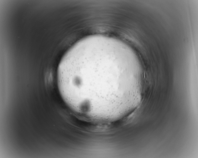 X0000089760166200707201949