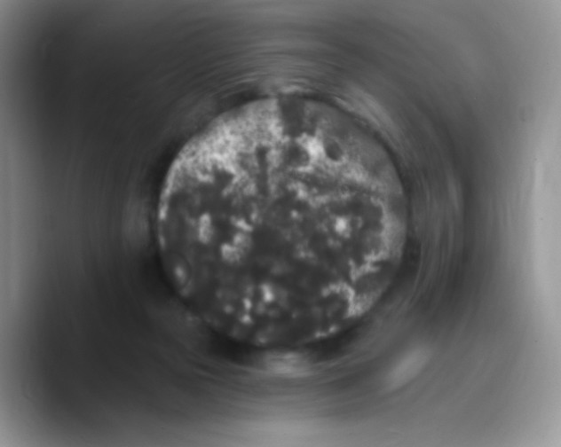 X0000089760169200707201949
